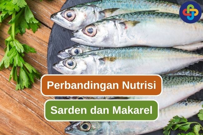 Perbedaan Nutrisi Antara Ikan Sarden dan Makarel